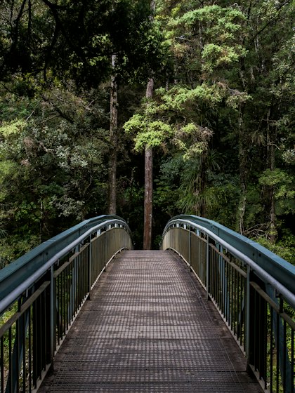 Portfolio photograph 6