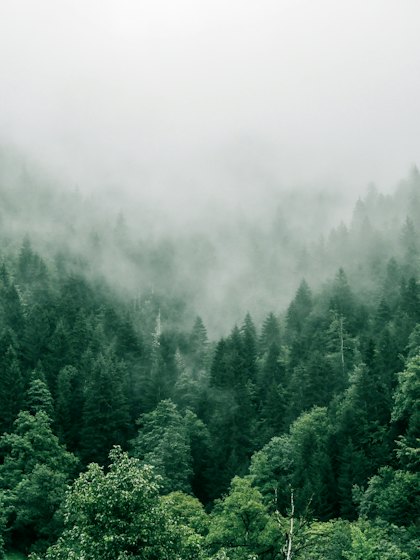 Portfolio photograph 17